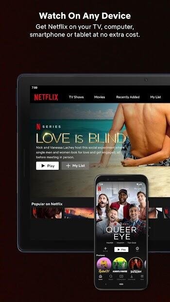 netflix-premium-apk.jpg.dd5b399d44ebee3f643d20145234e9d3.jpg