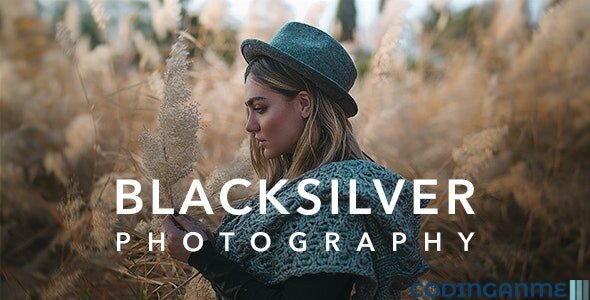 Blacksilver | Photography Theme for WordPress