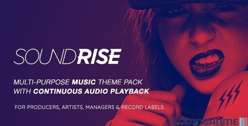 More information about "SoundRise - Artists, Producers and Record Labels WordPress Theme"