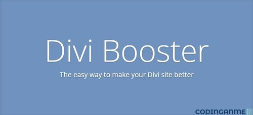 More information about "Divi Booster WordPress Plugin"