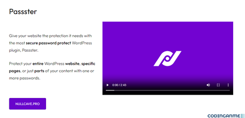 More information about "Passster Premium - Password Protect content in WordPress"