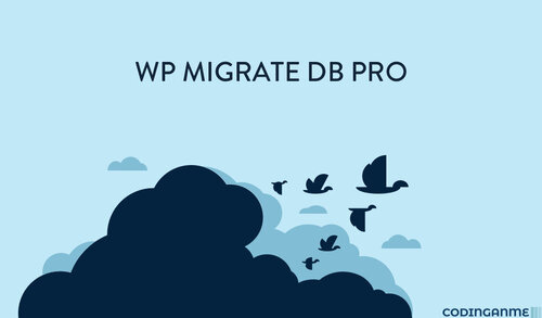 More information about "WP Migrate DB Pro"