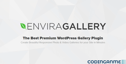 More information about "Envira Gallery - The Best Photo Gallery Plugin for WordPress"