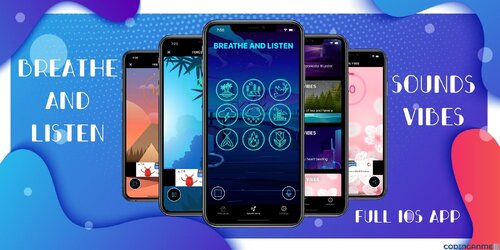 More information about "Sounds Vibes - Full iOS Application"