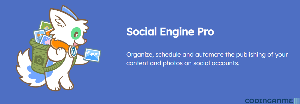 Social Engine: Automate & Schedule your Social Posts (Pro)