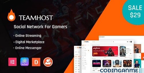 More information about "TeamHost - Gaming Community & Digital Marketplace"