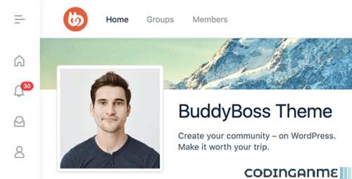 More information about "BuddyBoss Platform Pro + BuddyBoss Theme + BuddyBoss App"