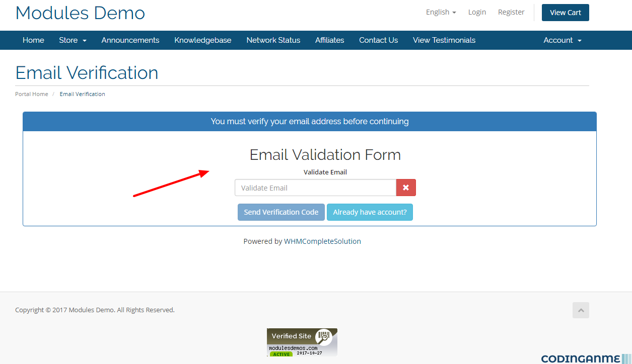 WS Email Verification Pro