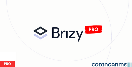 More information about "Brizy Pro"