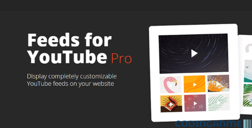 More information about "Feeds for YouTube Pro - Feed your YouTube channel content"