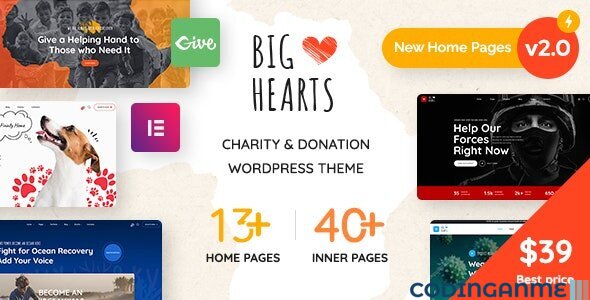 BigHearts - Charity & Donation WordPress Theme