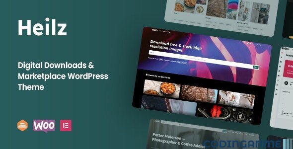 Heilz - Digital Downloads & Marketplace WordPress Theme