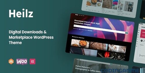 More information about "Heilz - Digital Downloads & Marketplace WordPress Theme"