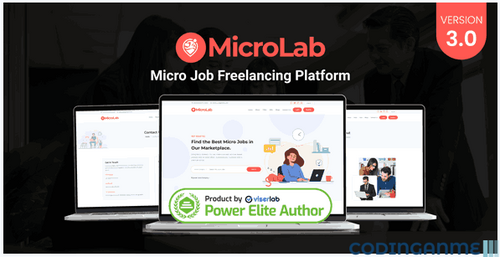 More information about "MicroLab - Micro Job Freelancing Platform"